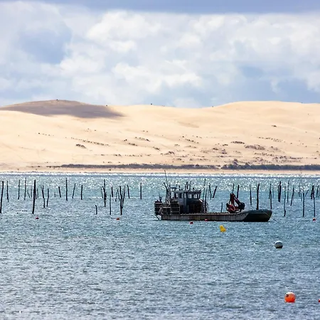 Les Lauriers Centre Du Cap Ferret